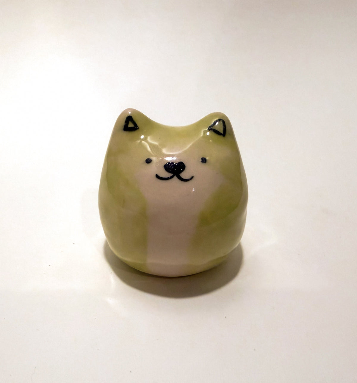 sick cat