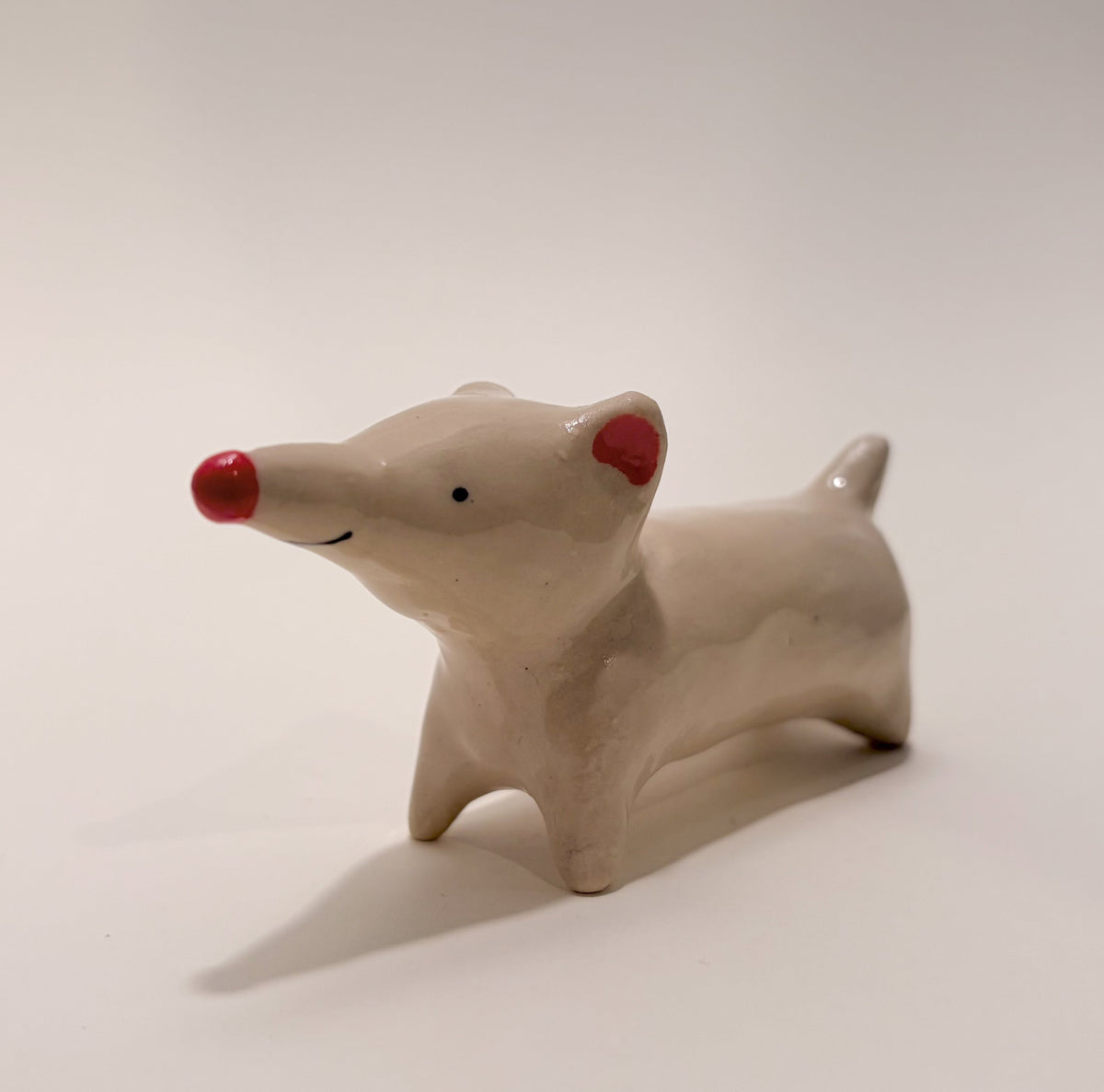 possum