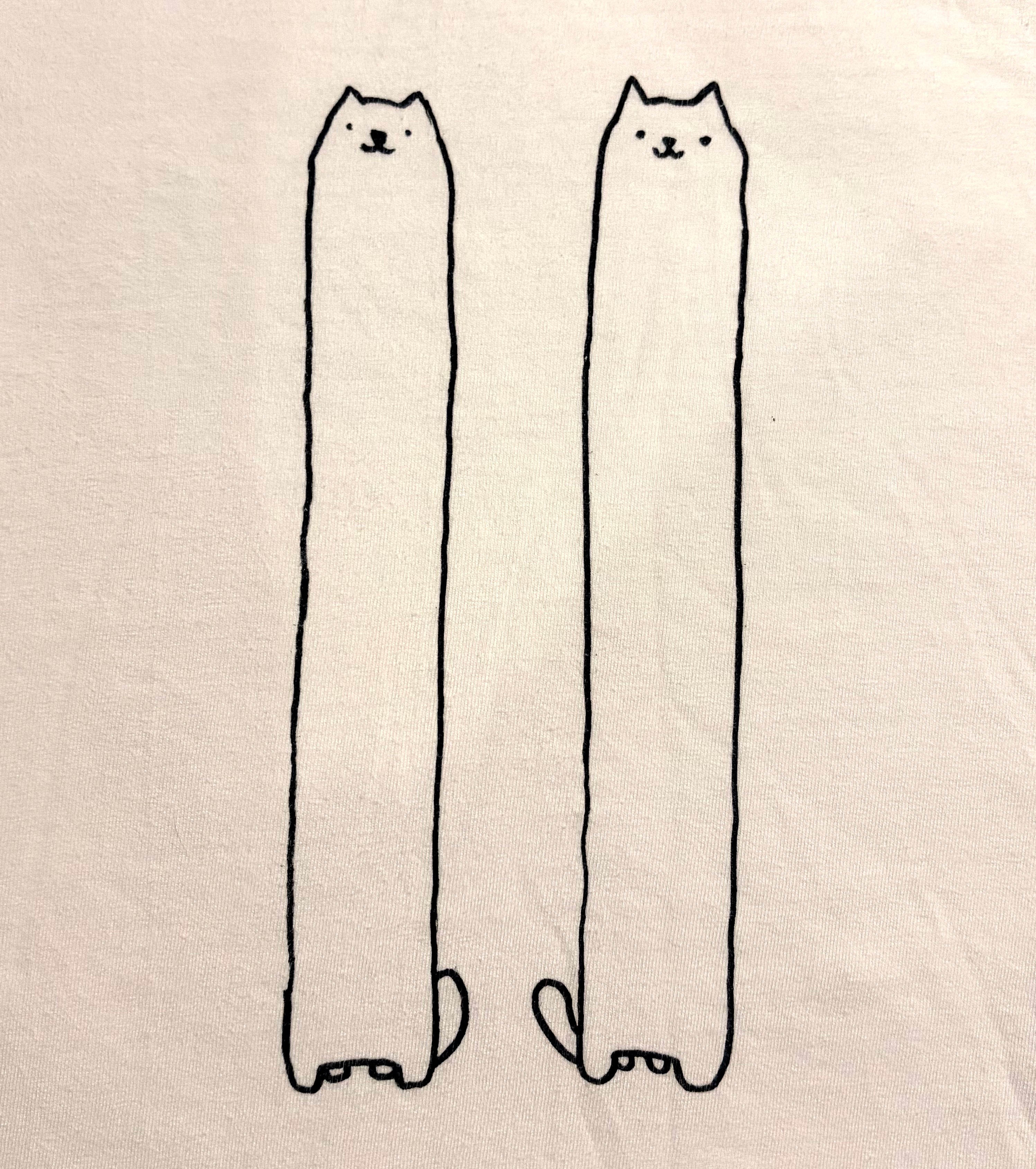 very tall twin cats